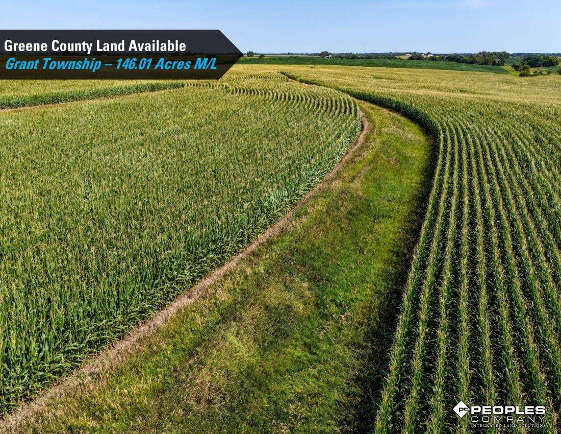 Listing Photo: Greene-County-Iowa-Farmland-Available-146-Acres-19686-Jefferson (7)